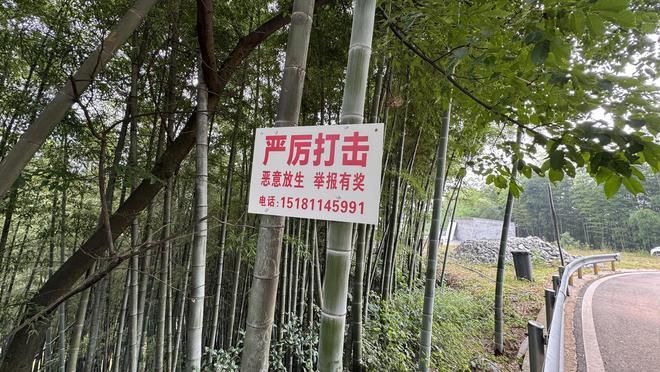 “缺大德！”四川宜宾，当地56岁村民去年冬天在院坝附近发现一条三米多长的蛇，用竹