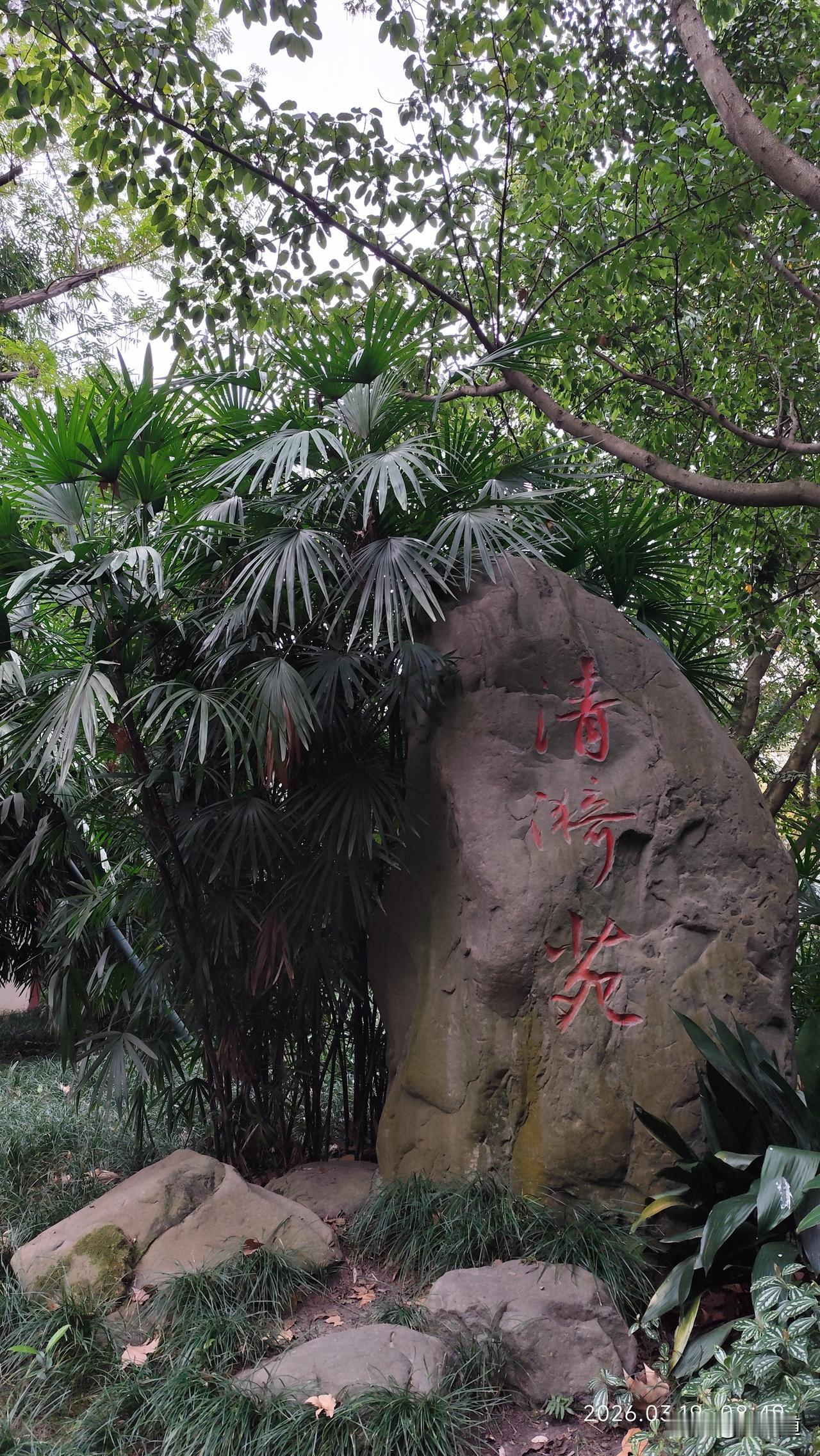 春日生活打卡季林中秀石清漪苑