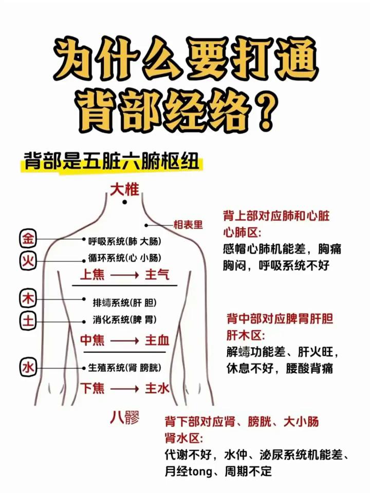 为什么要打通背部经络？背部是五脏六腑枢纽，胸闷、呼吸系统不好、休息不好、腰酸背