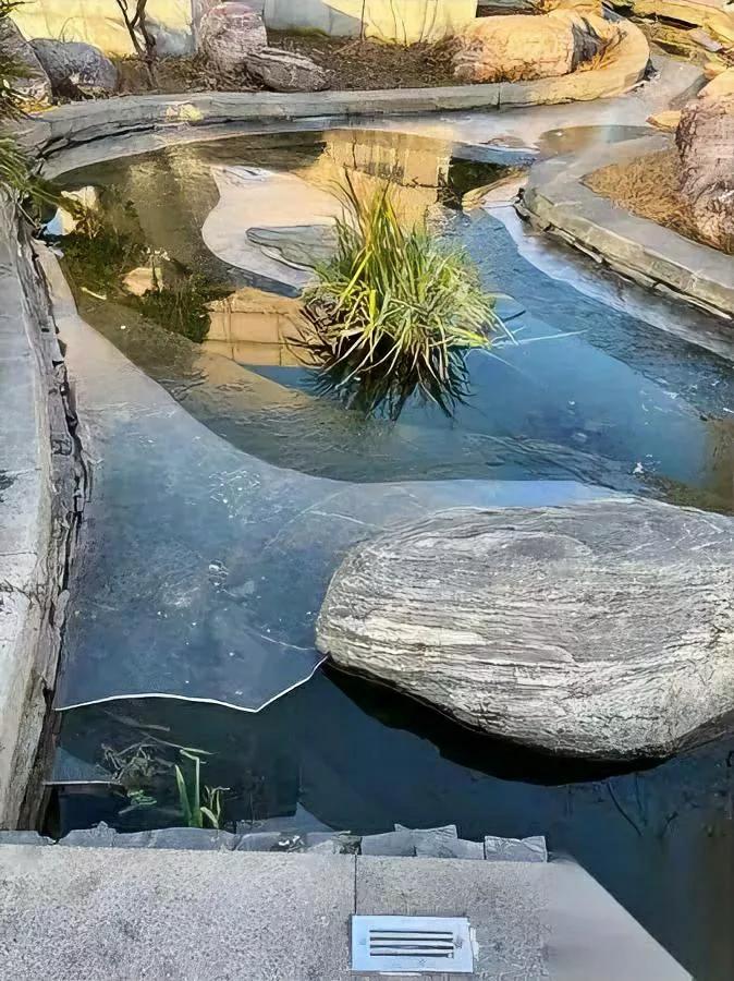 现在找对象的“敢想”程度，我算开眼了。瑞幸打工的安徽姑娘，凭啥敢盯紧苏大21