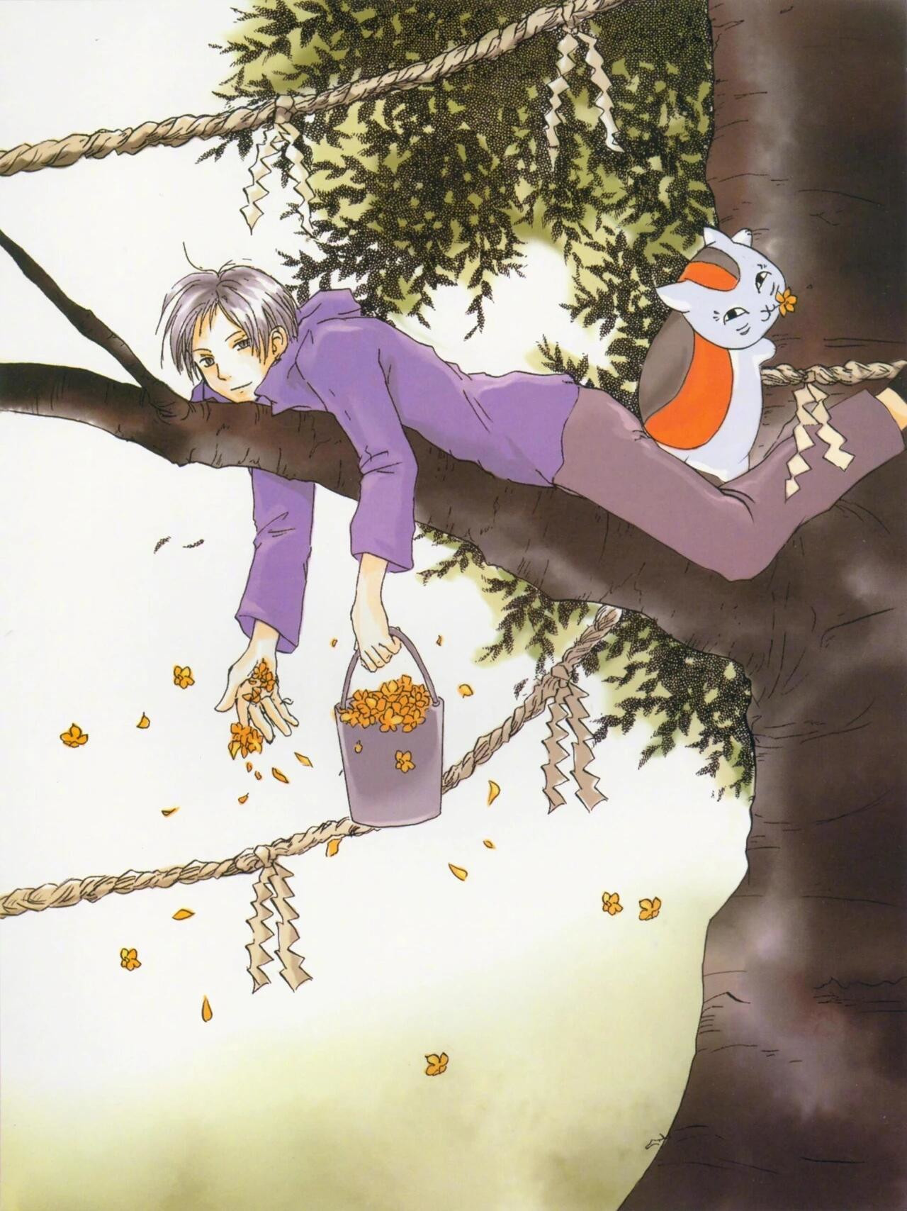 夏目友人帐夏目友人帐原画集