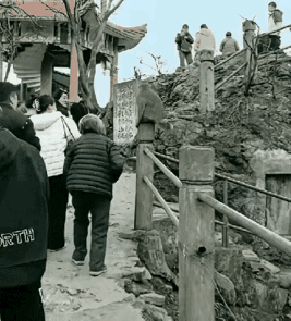 景区的猴子，该好好管管了。