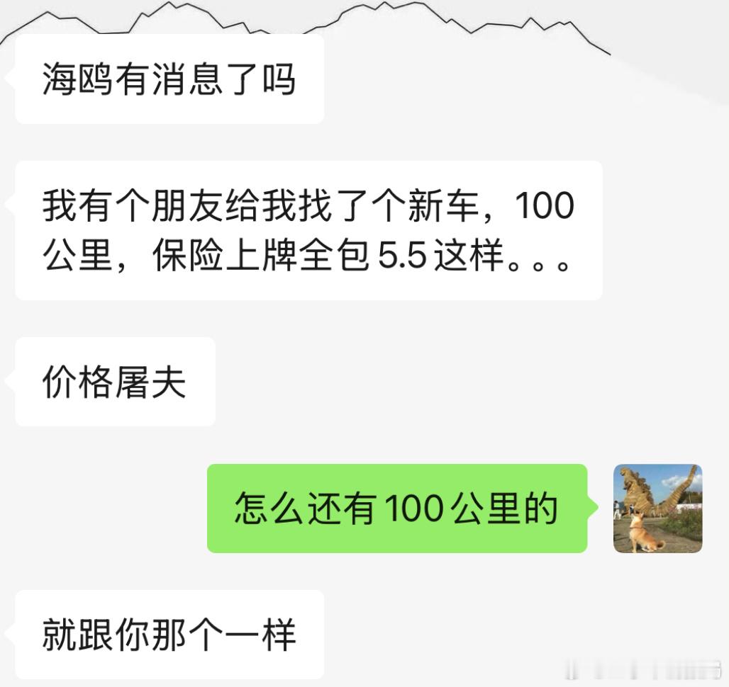 我不还有一个可以报废的车嚒，正在跟好大哥密谋呢…他朋友找了一个海鸥303指导价6