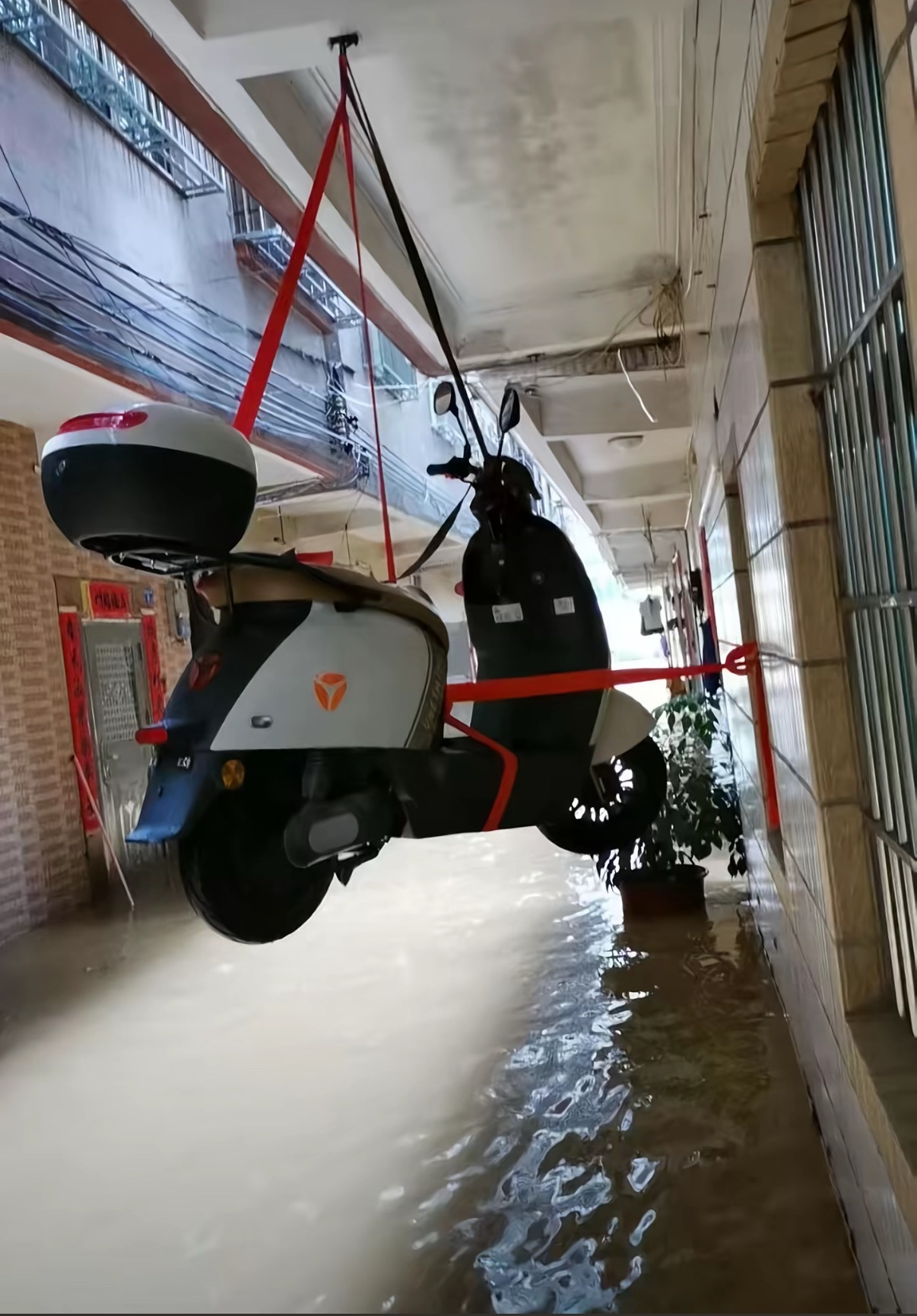 电动车🛵是保住了​​​