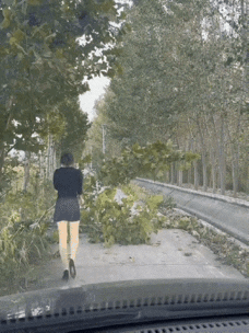 是个女汉子[哭哭][哭哭][哭哭]