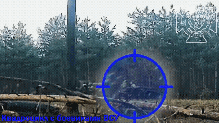 一支乌军特种小队在试图渗透进入哈尔科夫州沃尔昌斯克地区时，被俄军发现并最终被团灭