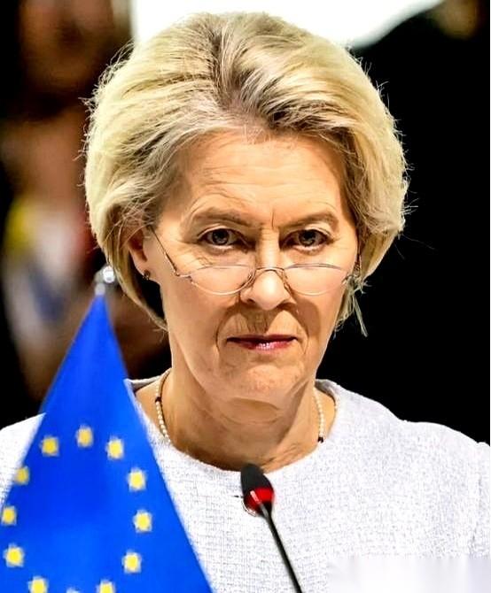 我天，今天这瓜吃的我一愣一愣的。欧洲议会开着会呢，一个波兰议员，当着所有人的面