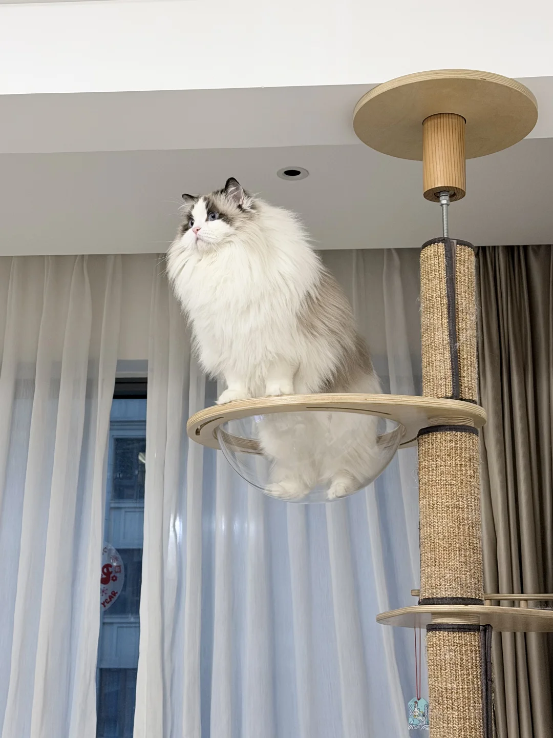 新来的装修师傅