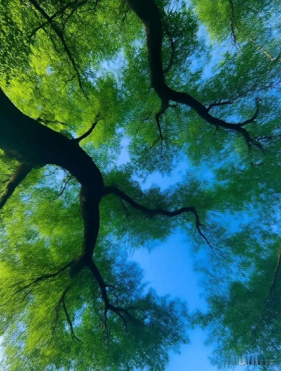 上了高中你才会发现：如果高一6门课能维持在500分左右，说明你的基础不算太差，