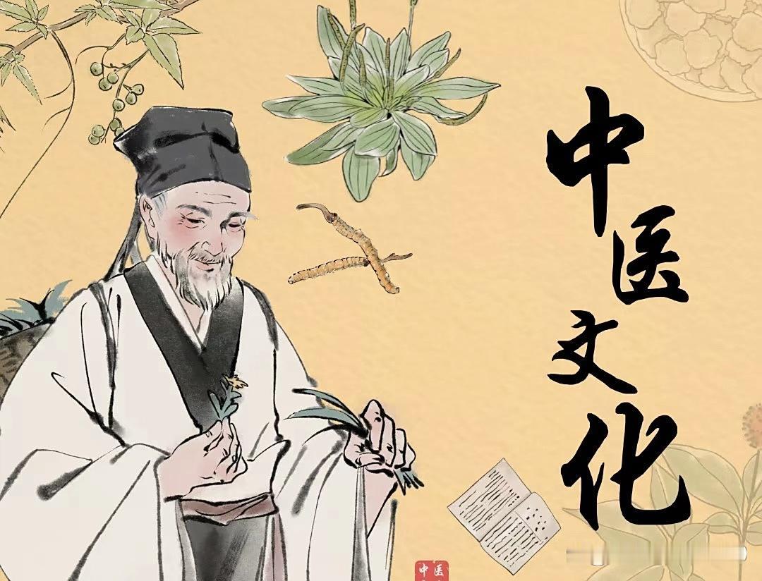 中医和西医并非对立关系，而是源于不同文明的医疗体系。中医扎根经验与自然哲学，擅长