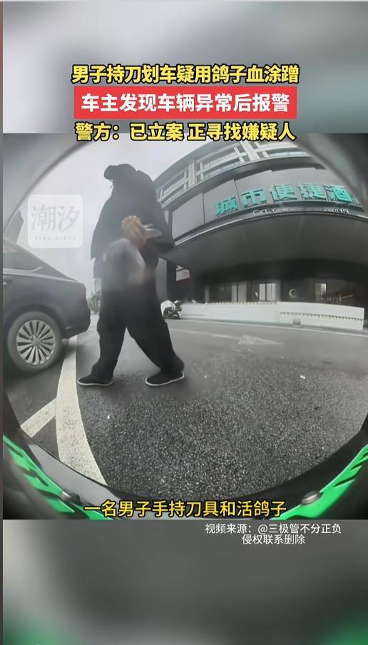 “细思极恐！”4月12日，湖南长沙，一游客租车到此游玩，就把车停在了酒店的停车场