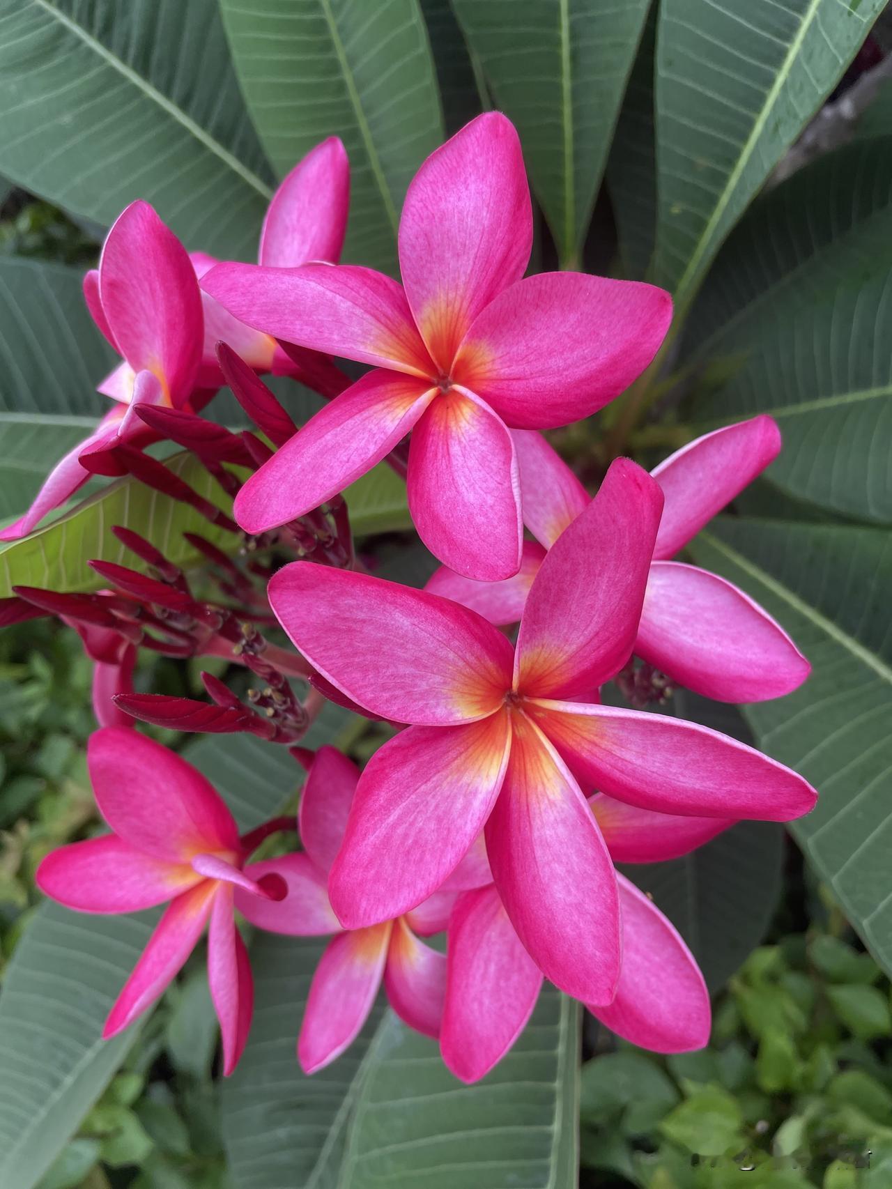 这女孩算是养废了。一女孩，20岁，上大学，觉得自己亲爸和后妈对她太差了，她想起诉