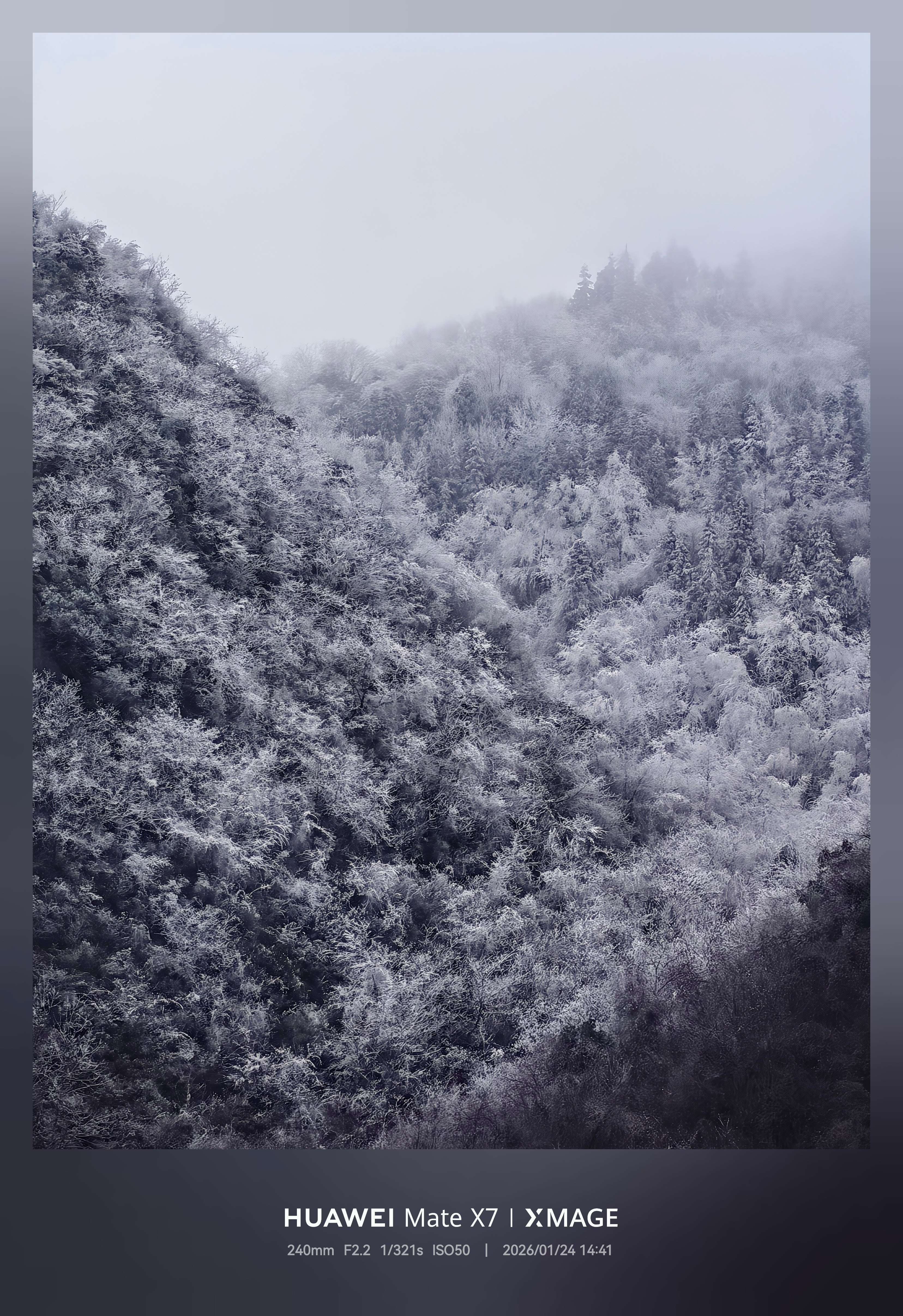 来重庆看雪啦❄️