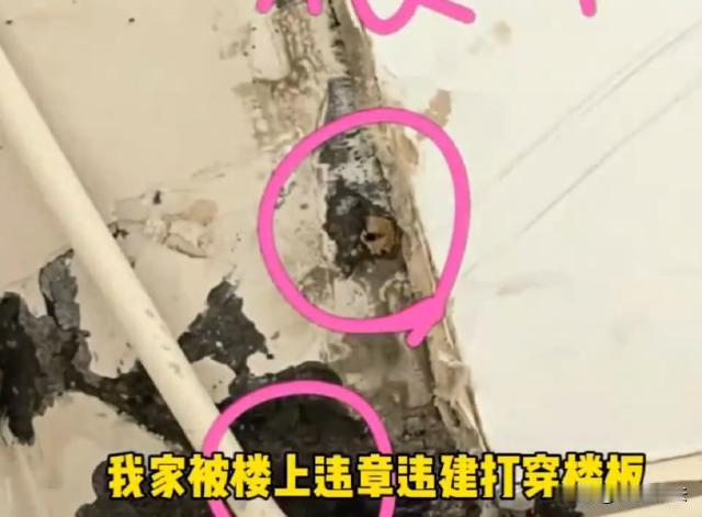 江苏江阴，长江御园小区的陈女士和丈夫买了5楼新房，装修完入住。6楼的新邻居入住后