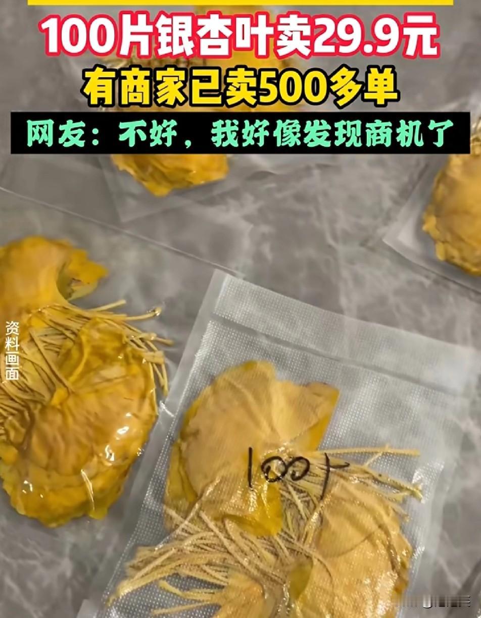 杀疯了！谁能想到，路边随手捡的落叶居然能变现二手平台上银杏叶、梧桐叶10