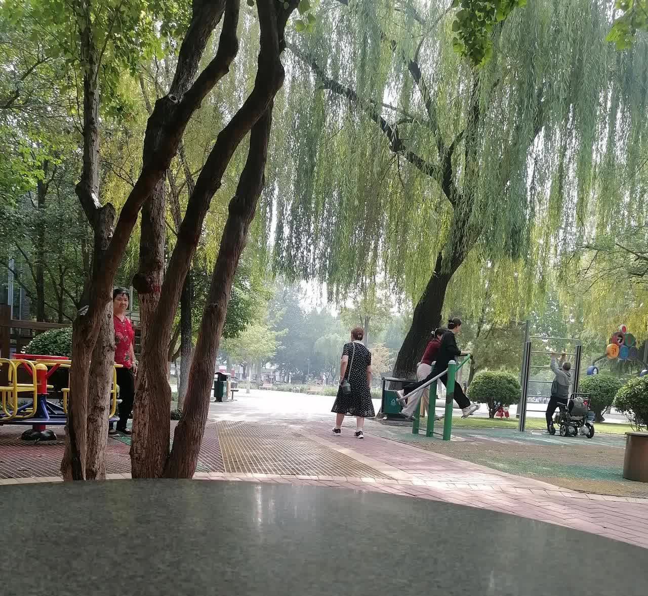 分数出来了，亲戚的孩子考了403，现在消停了，也不闹着去旅游了，也不闹着买苹果手