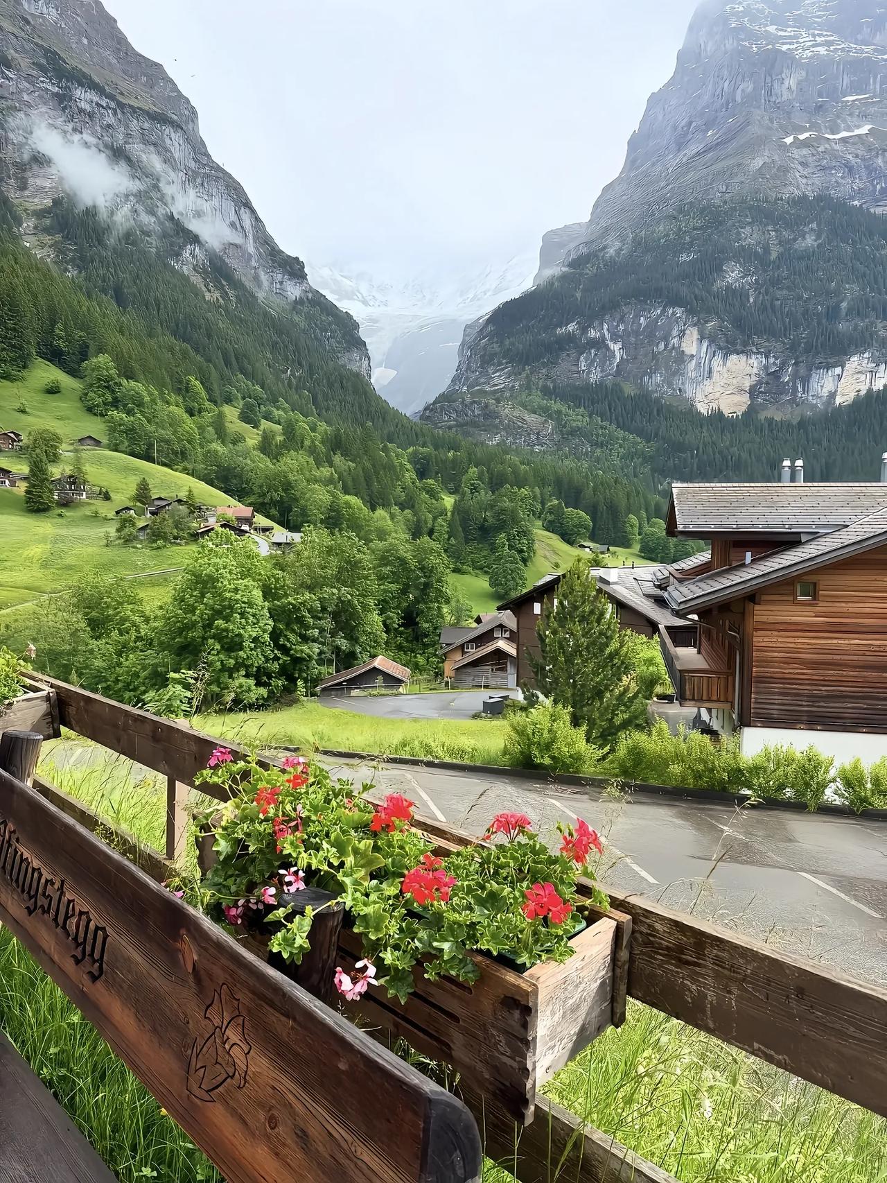 今天有学生家长咨询，他们家的孩子想考上海的同济大学。同济大学是一所非常优秀的学校
