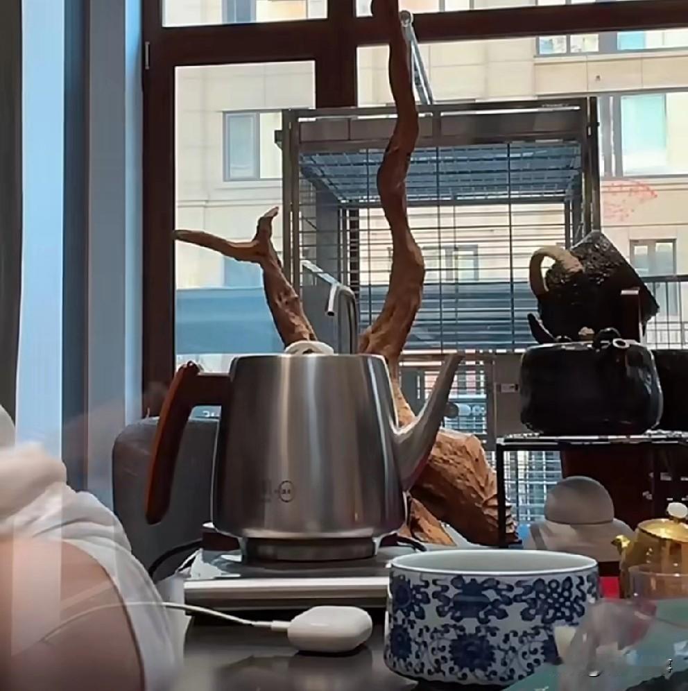 T佑坦言互联网再不好做也比现实打工强！早在2020年