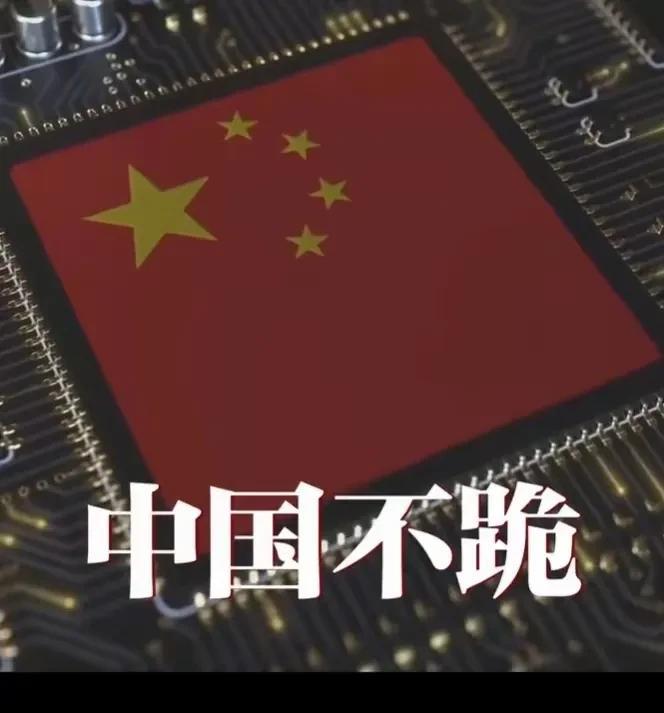 一些人认为《不跪》的片名没取好，改成《不退》更好。其实，不跪是在向全球喊话，让
