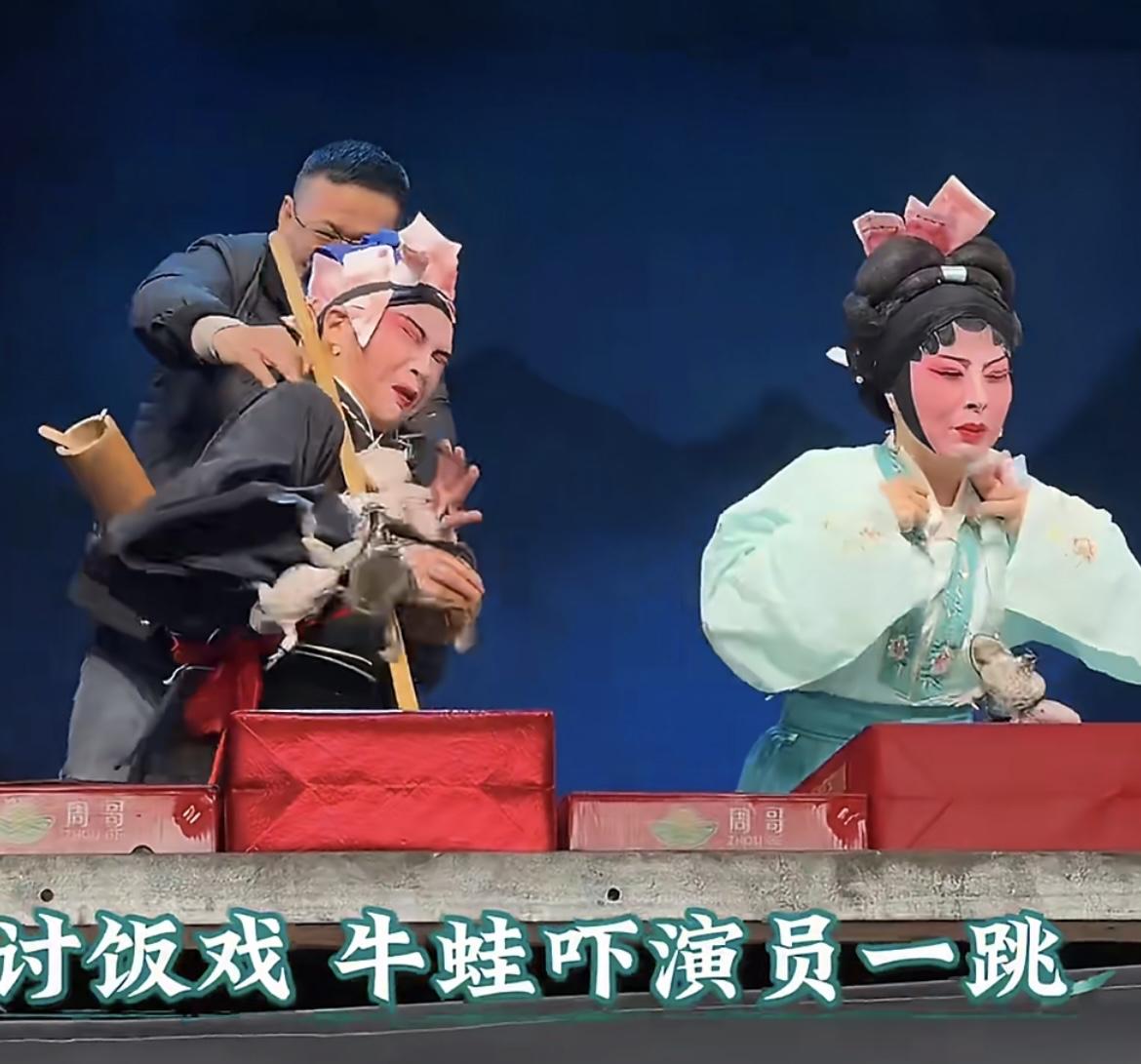浙江金华一场婺剧表演，台下观众扔了两串生牛蛙上台，直接挂到了演员脖子上。演员正唱