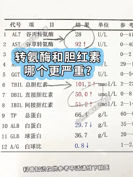 赶紧看看，转氨酶和胆红素哪一个升高更严重