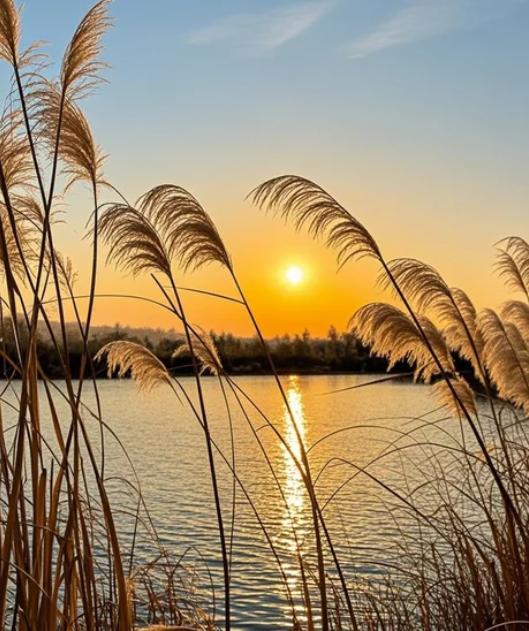 一辈子不结婚不生孩子，多存钱，老了只要有钱就能养老吗？去了一趟养老院，我发现：