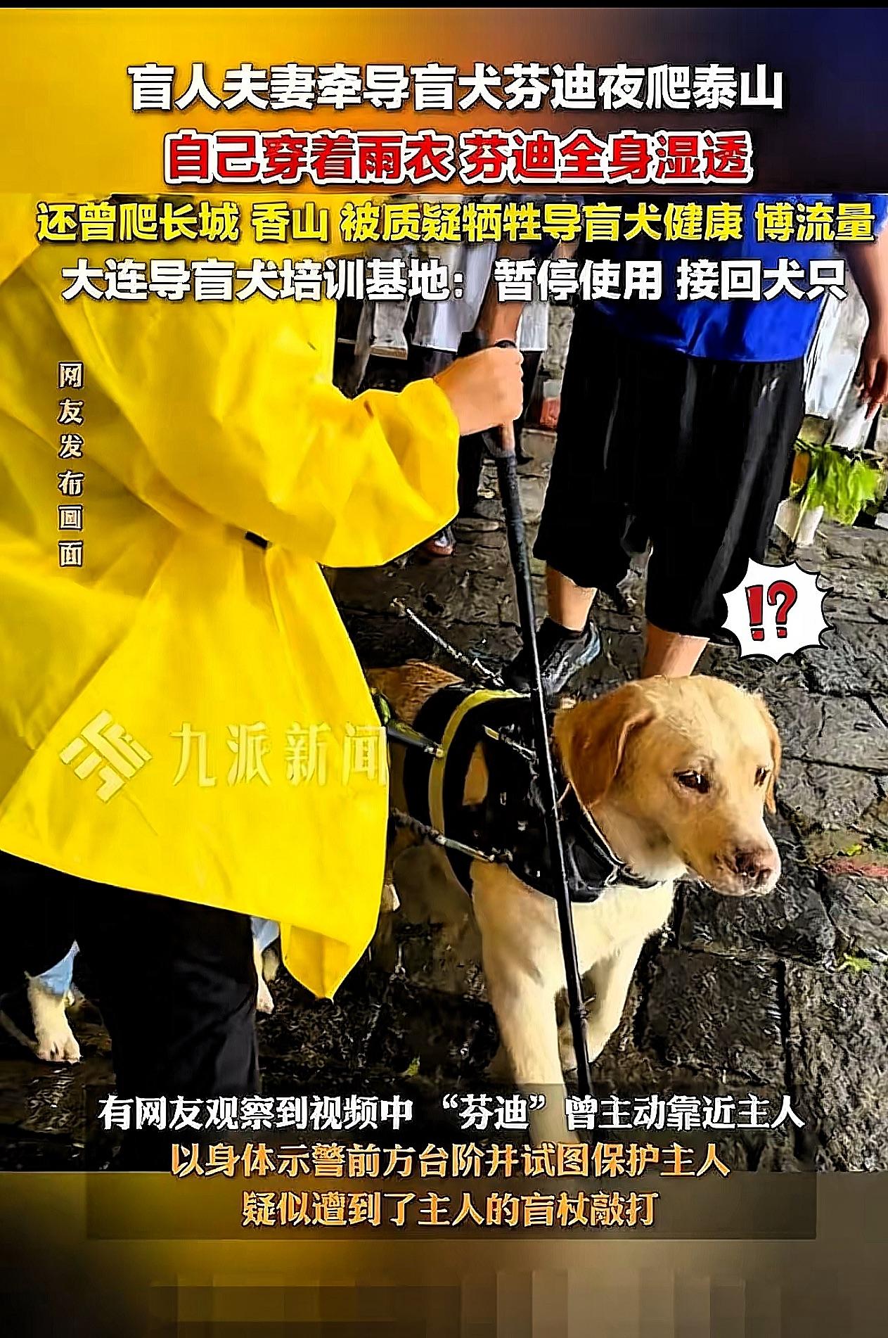 泰山那对盲人夫妻又被扒出新料！北京来的按摩师，靠八年好口碑攒的路人缘，居然全砸在