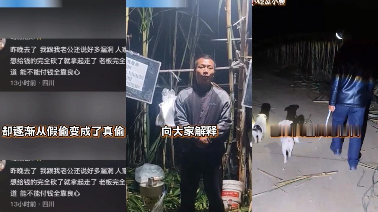 四川“甘蔗哥”爆火后，紧急增设2.99元入场费，但是地里仍然人满为患，每晚都有数