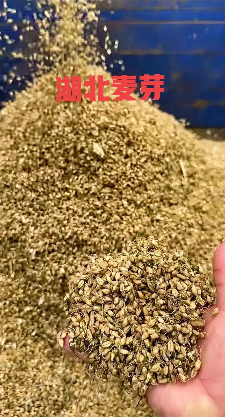 这难道只是天灾吗？