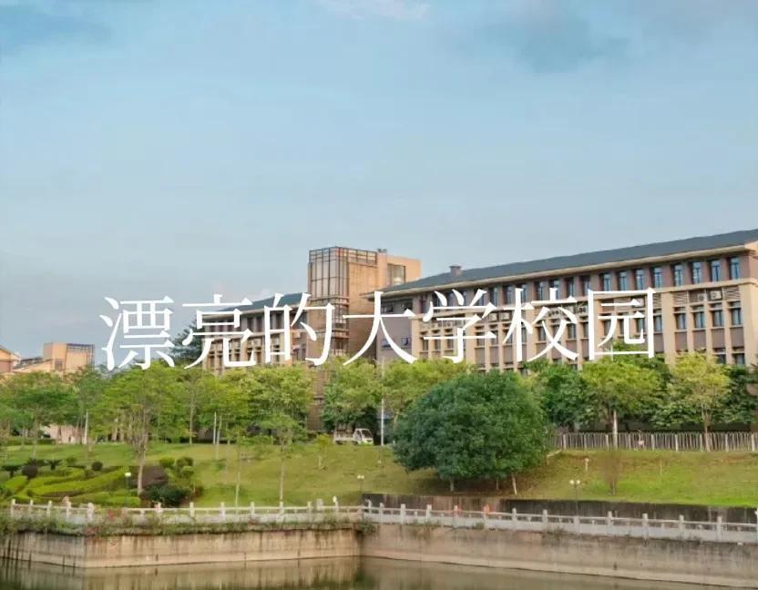 是知识过剩了还是上大学无用了，我女儿今年刚好是某本科学校毕业，她跟我说，今年她这