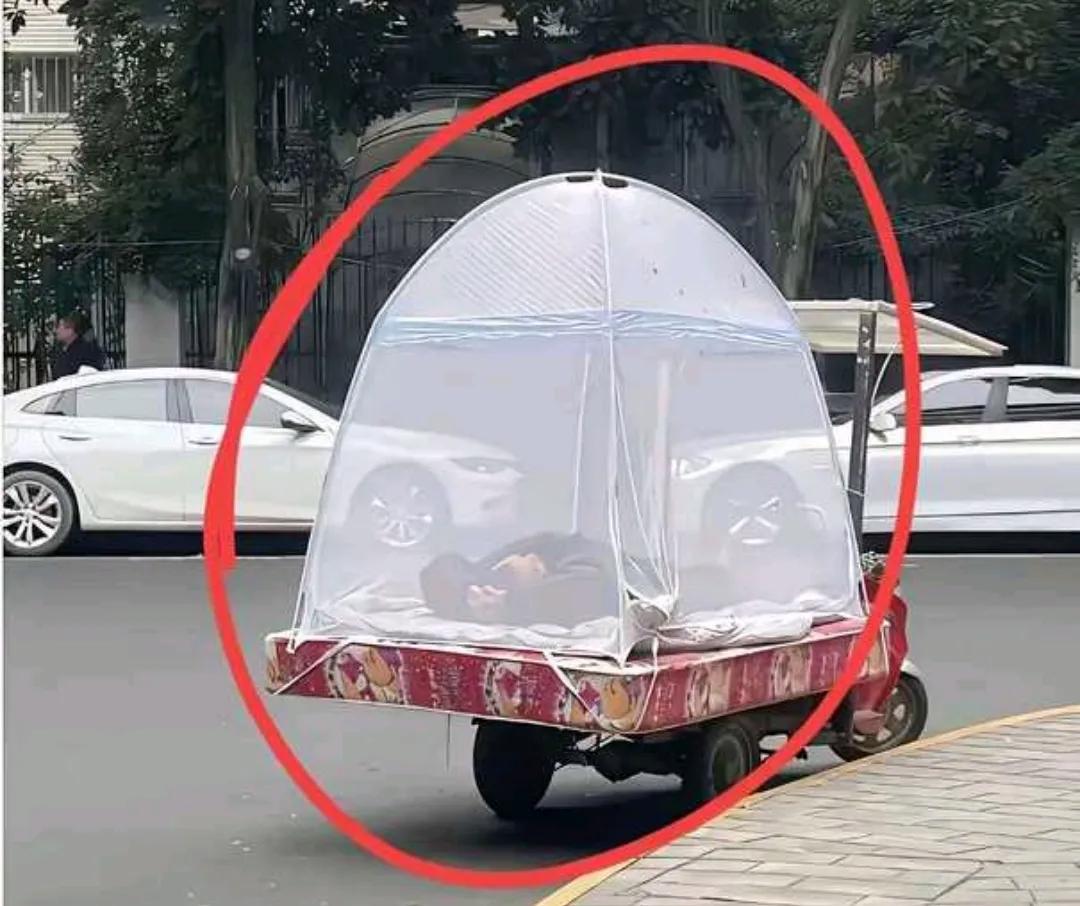 这创意真的是太棒了
