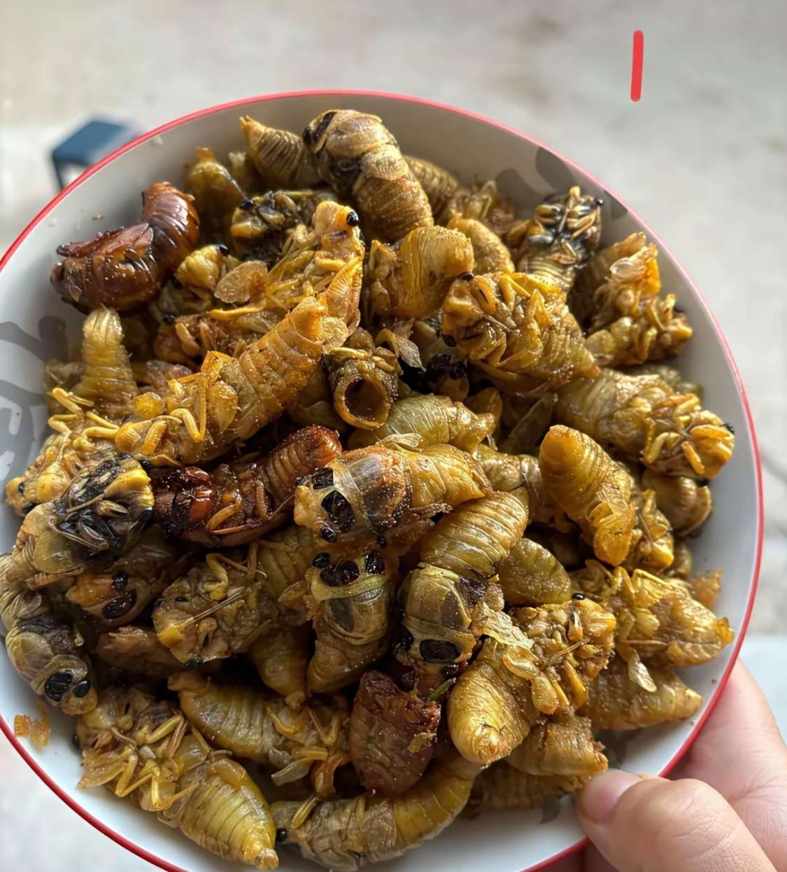 这两种美食，二选一，你会选哪个？