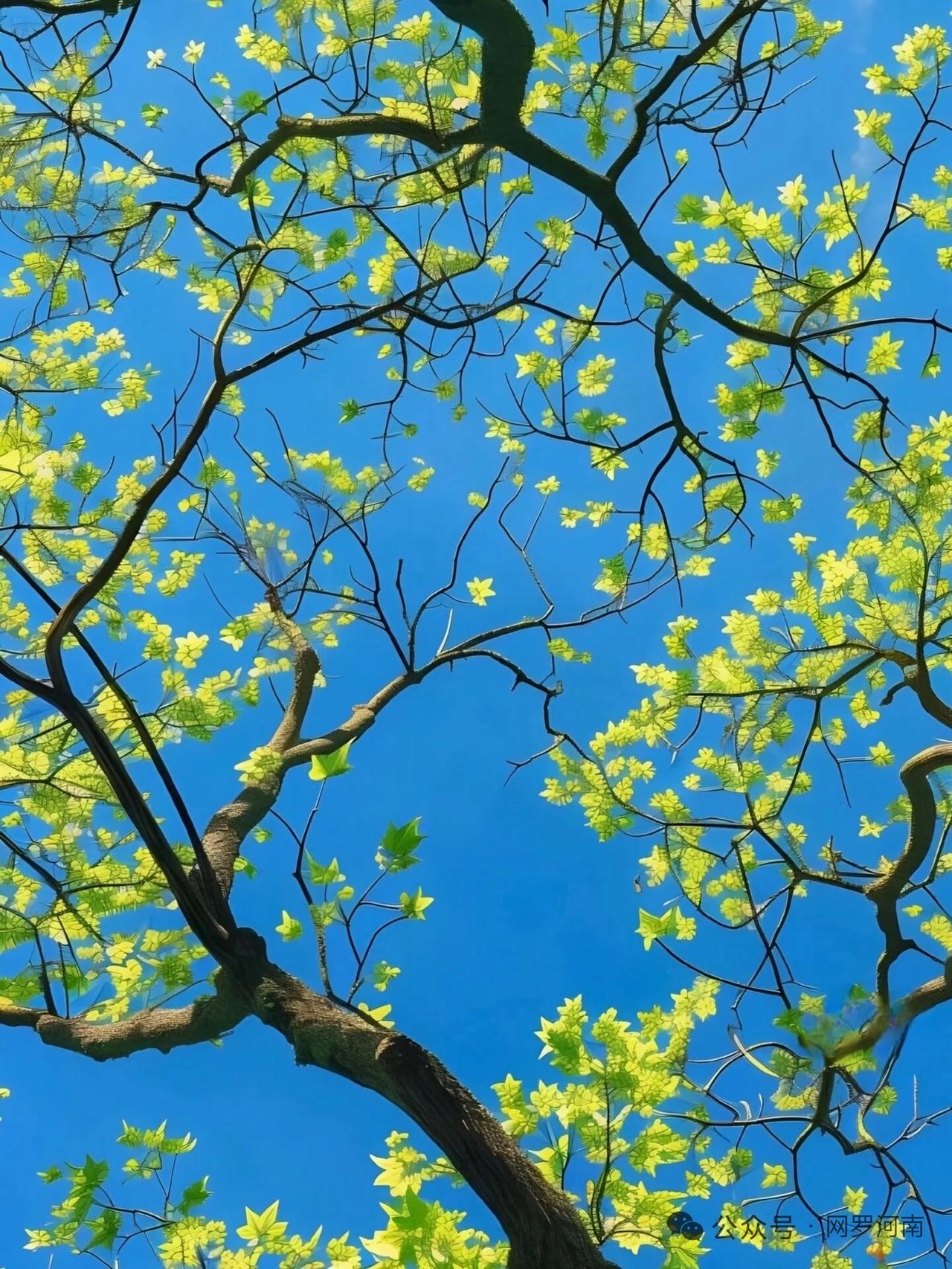 4月下旬的天蝎女真正到了涅槃重生的时候了最黑暗忙碌的日子已经过去余下的日子