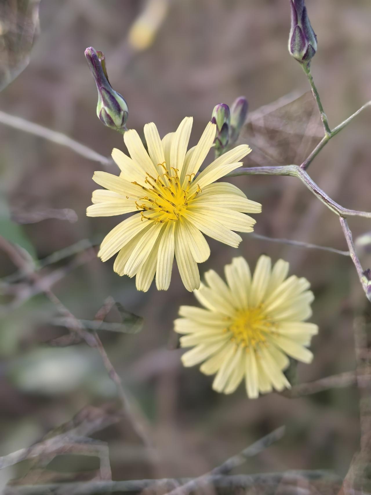 那些没工作没收入的家庭主妇，花起钱来手有多松？我们小区有几个购物群，群主时不