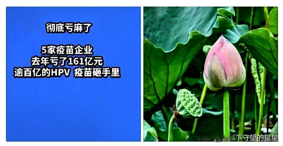 后知后觉，总算看懂学校老师隔三差五科普女生打免费疫苗这件事。早前HPV疫苗