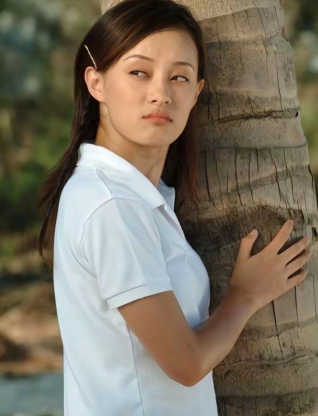 中国电视剧三大奖史上最年轻视后金鹰奖（观众喜爱女演员）：孙俪22岁飞天奖（优秀