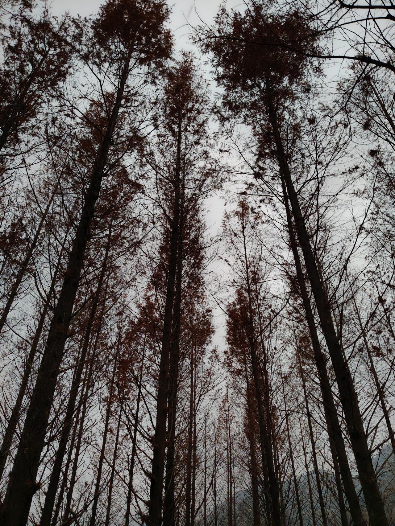 从资金流向的地方看涨跌。从之前资金流向债券，到后面流向银行，再到科技，再到最近