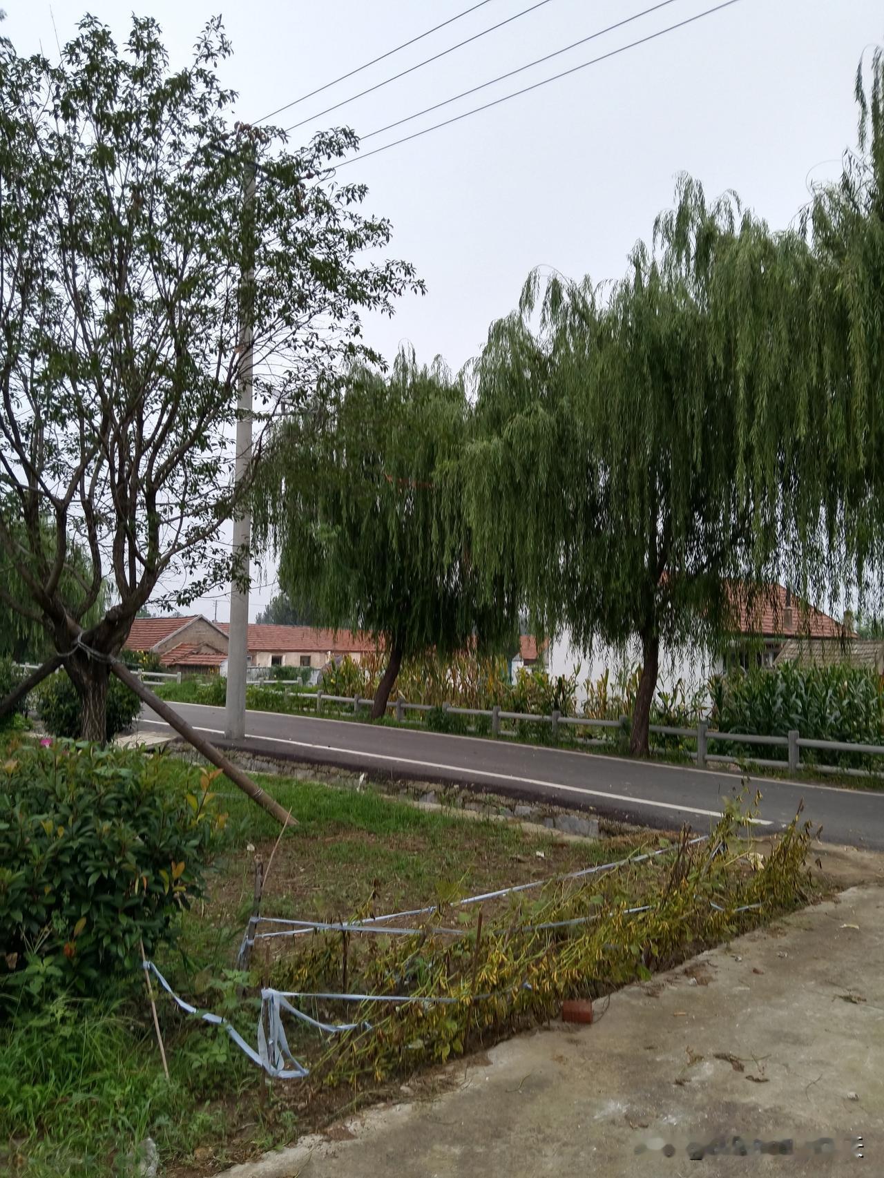 人性铁律：​1、不要和已经产生隔阂的人示好2、不要和闹掰的朋友和好3、不要