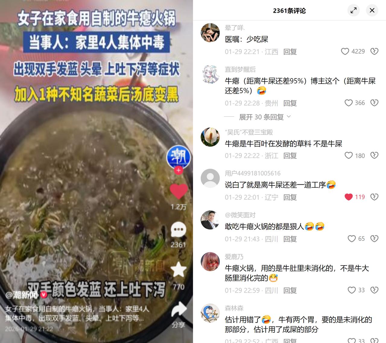 四人吃自制牛瘪火锅集体中毒四川成都一家四口，自制牛瘪火锅时加了种不知名蔬