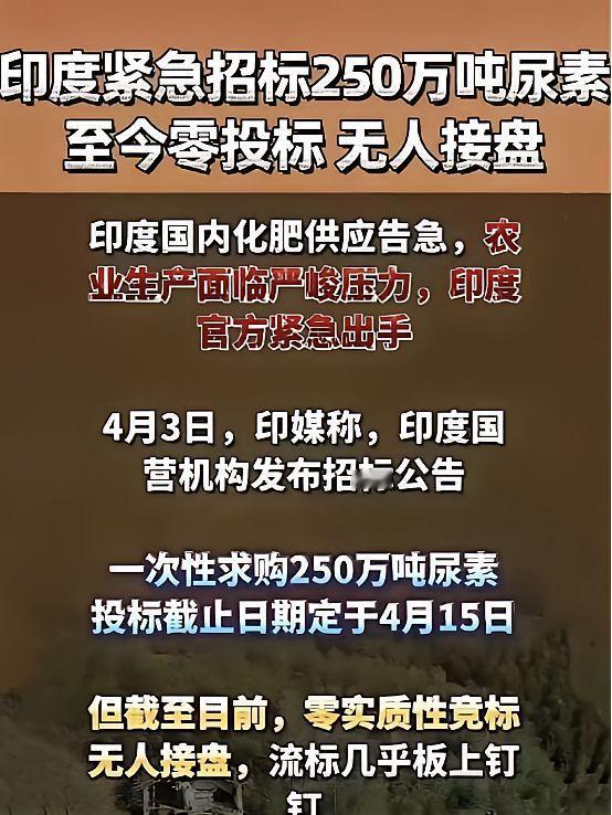 4月3日，印度政府信心满满地挂出了一份250万吨尿素的全球紧急招标公告，投标截止
