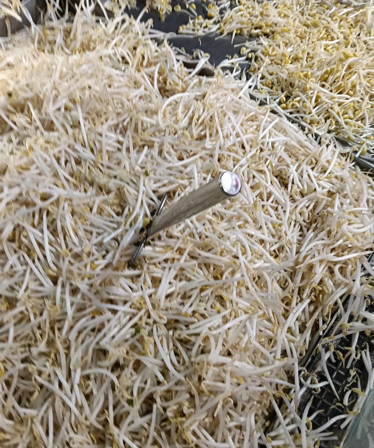 68岁大爷在超市一把一把抓豆芽，32岁的导购小李提醒用夹子，大爷当场拍台吼“我摸