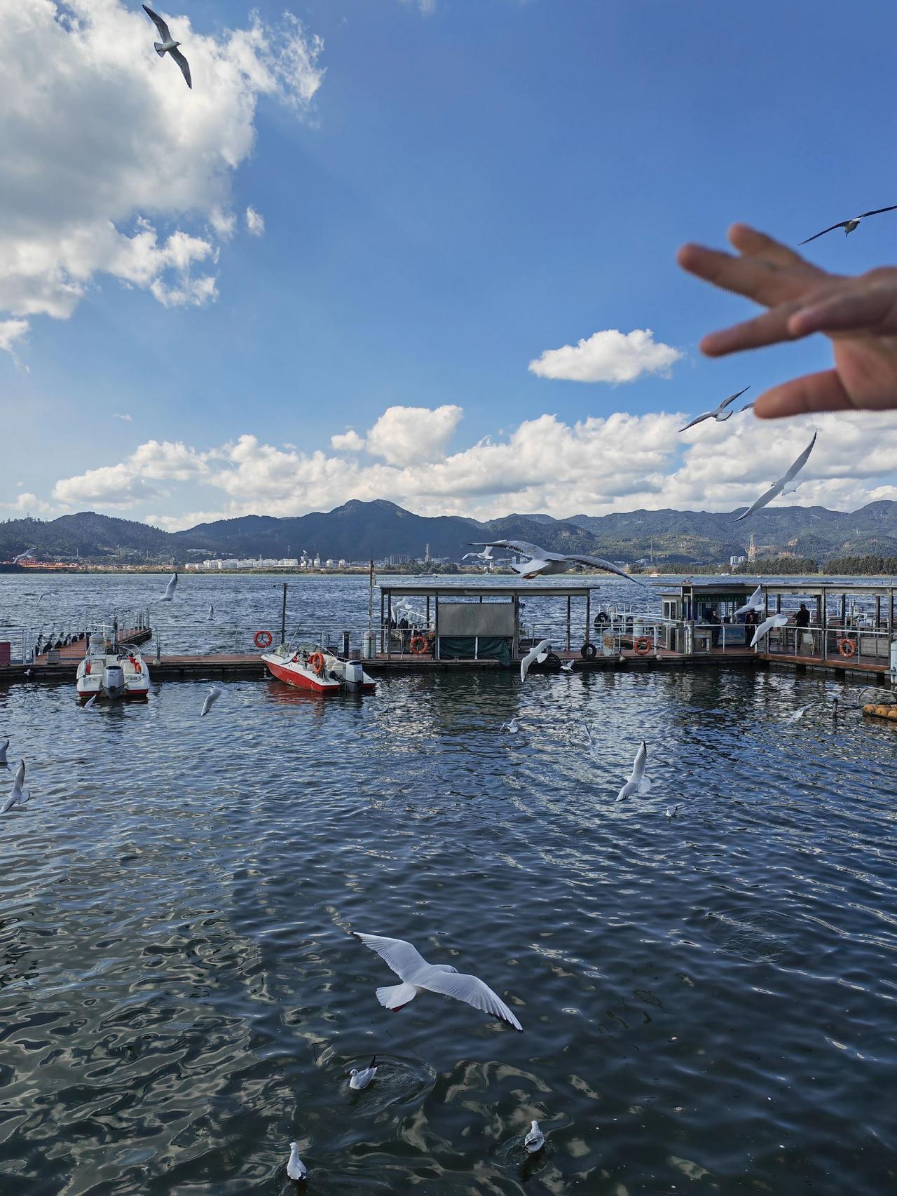 云南滇池海埂大坝