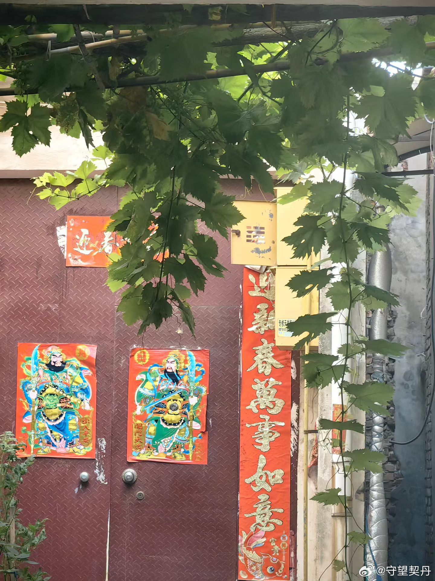 天光微亮，早市已醒。蒸笼腾起白雾，油条在油锅里翻涌成金黄，豆腐脑摊前支着几张矮凳