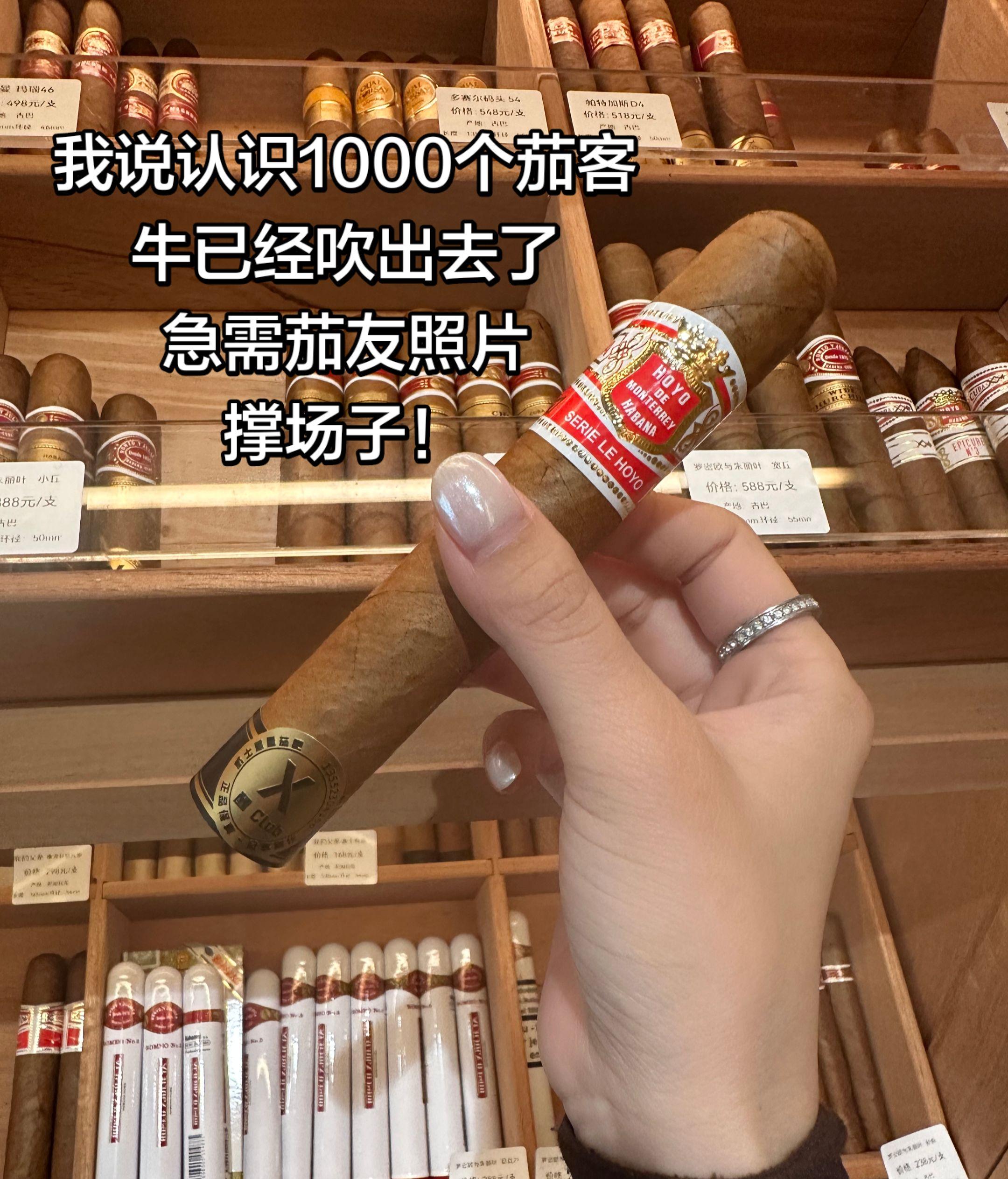 召唤茄友。