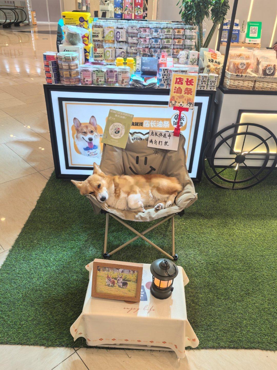 好懒的店长​​​