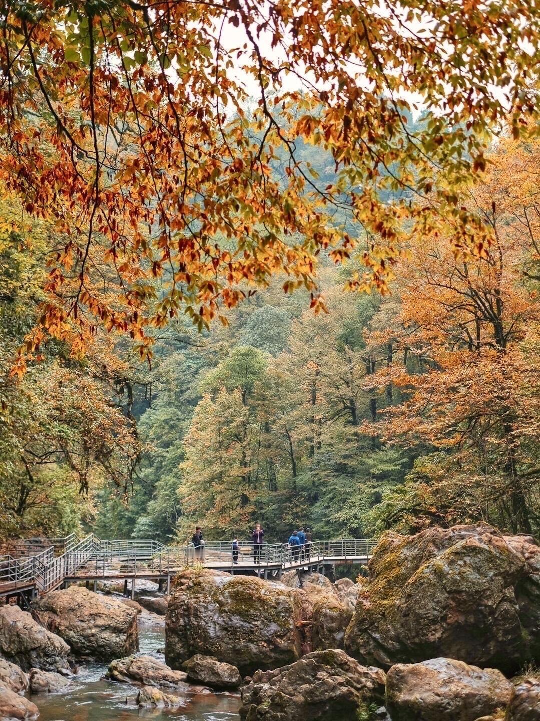 成都周边｜闯入川西限定版秋日油画世界🎨第一站就在川西邂逅了今秋最惊艳的风景