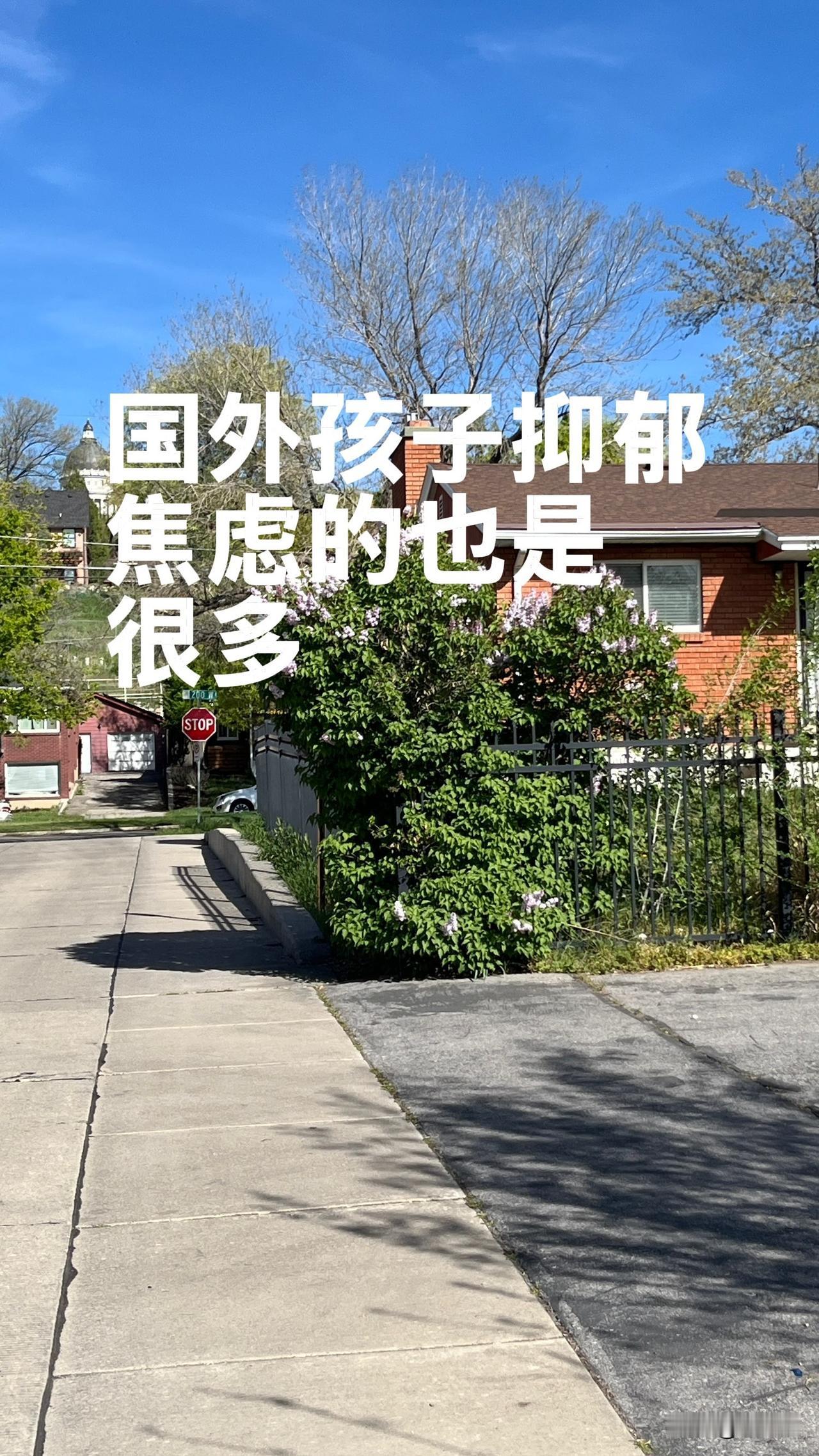 现在不仅国内孩子焦虑、抑郁的多了，国外这几年也是一样。很多孩子表面看着正