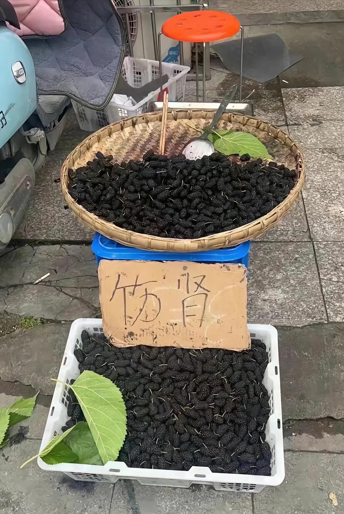 水果你成功吸引了我的注意😂​​​