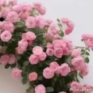 阳光信用微笑的眼睛，才能看见美丽的风景。简单的心境，才能拥有快乐的心情。心态