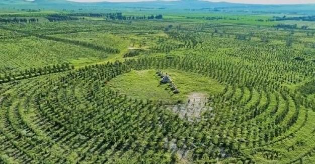 两张照片撕开美军遮羞布！白宫收到直白警告：任何战争美国都别想赢